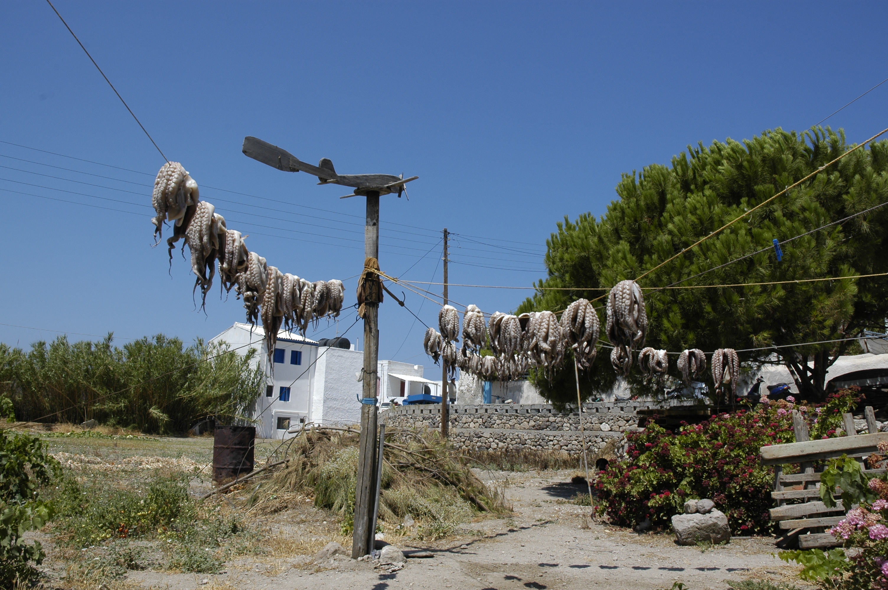Τα «σύρματα» της Μήλου