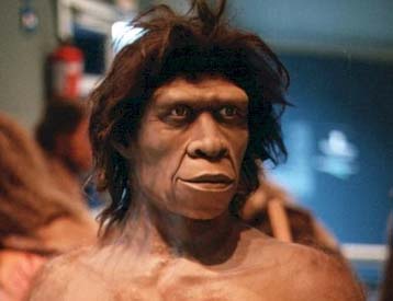 Απολίθωμα μικρόσωμου «Homo erectus» διχάζει τους παλαιοανθρωπολόγους