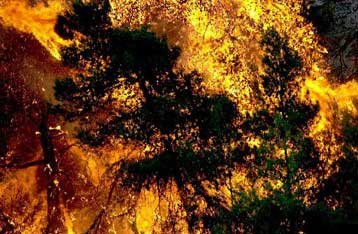 «Βόμβα» στην αντιπυρική προστασία από τις 1.350 ανεξέλεγκτες χωματερές