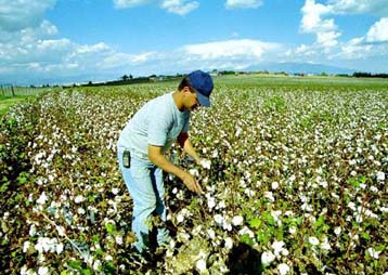 Προτάσεις για την αγροτική ανάπτυξη υιοθέτησε η Ευρωπαϊκή Επιτροπή