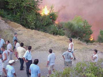 Αυξημένος κίνδυνος πυρκαγιάς προβλέπεται για την Τετάρτη σε μεγάλο μέρος της Ελλάδας