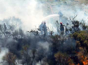 Σε πύρινο κλοιό η περιοχή της Μασαλίας – Χιλιάδες πολίτες εγκατέλειψαν τα σπίτια τους