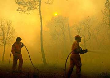 Μεγάλες εκτάσεις κατακαίγονται στην Πορτογαλία