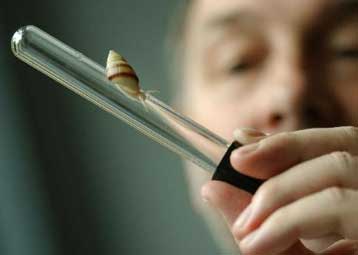 «Κατεψυγμένη Κιβωτός» διαφυλάσσει το DNA απειλούμενων ζώων