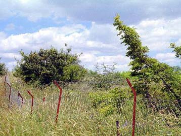 «Παρεξήγηση» ανάμεσα στις ελληνικές αρχές και τρεις Τούρκους δημοσιογράφους στον Έβρο
