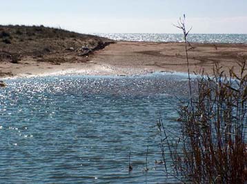 Απροστράτευτες οι προστατευόμενες περιοχές Natura 2000, καταγγέλλει το ΠΑΣΟΚ