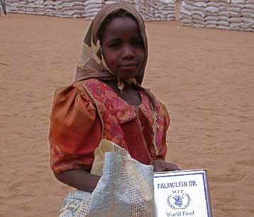 Απαλείφθηκαν οι «κυρώσεις» από το ψήφισμα για το Σουδάν