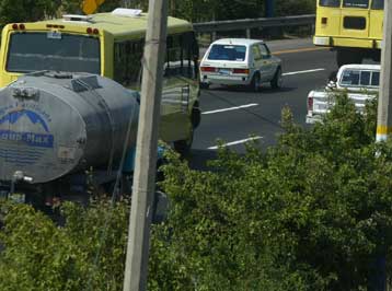 Στις τσιμεντένιες «ζούγκλες» τα φυτά ανθίζουν νωρίτερα