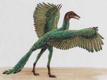 Ο δεινόσαυρος Archaeopteryx, πρόγονος των πτηνών, μπορούσε να πετά
