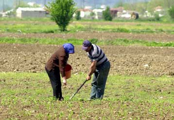 Τονωτική «ένεση» μέσω δανείου για να πληρωθούν οι συντάξεις των αγροτών