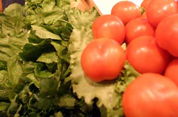 Επικίνδυνες τοξικές ενώσεις στα νερά της λίμνης Κουμουνδούρου στον Ασπρόπυργο