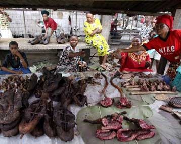 Αγνωστος ιός που μοιάζει με τον HIV εμφανίστηκε σε κυνηγούς του Καμερούν