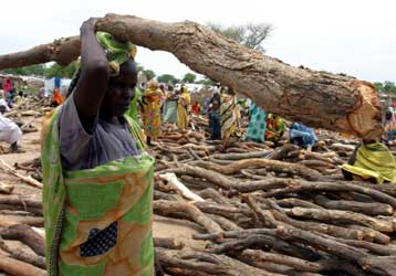 Αντιμέτωποι με τις επιδημίες οι Σουδανοί πρόσφυγες του Νταρφούρ – Τουλάχιστον 22 νεκροί