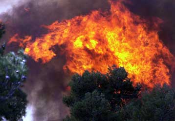 Υπό έλεγχο η απειλητική πυρκαγιά στην Εύβοια
