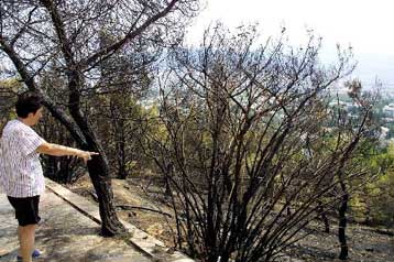 Προκαταρκτική εξέταση για τη φωτιά από τα βεγγαλικά στη δεξίωση της Γ.Αγγελοπούλου
