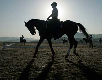 Νέα ατυχία της ελληνικής ιππασίας, αποκλειστηκε η ομάδα ιππικής δεξιοτεχνίας