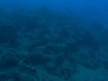 Δύο αρχαία ναυάγια εντοπίστηκαν ανοικτά της Σάμου και της Χίου
