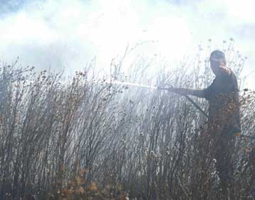 Πύρινα μέτωπα σε Αρκαδία, Χαλκιδική, Αρτα – Έσβησε η φωτιά στο άλσος Ν.Φιλαδέλφειας