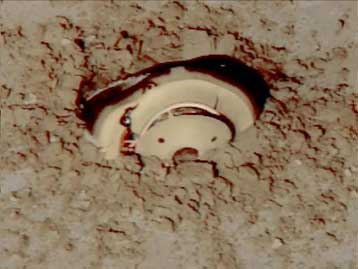 Συνετρίβη η κάψουλα που θα έφερνε στη Γη δείγμα ηλιακού ανέμου