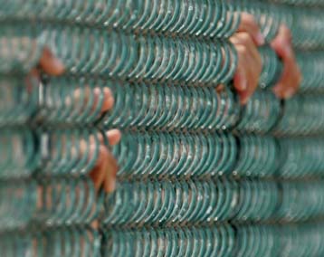 Την απελευθέρωση του πρώτου κρατουμένου στο Γκουαντάναμο αποφάσισε το Πεντάγωνο