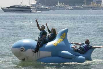 Καρχαριοϊστορίες στη μεγάλη οθόνη της πλατείας του Αγίου Μάρκου, στη Βενετία