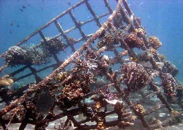 Τεχνητός ύφαλος προσφέρει καταφύγιο στα ψάρια έξω από τη Ροδόπη