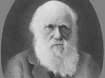 H διαφωνία της με το Δαρβίνο οδήγησε σε παραίτηση την υπουργό Παιδείας της Σερβίας