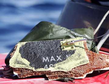 Διαμελισμένα σώματα ανασύρθηκαν από το βυθό του Αθω