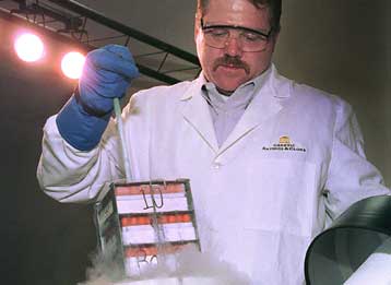 Αμερικανική εταιρεία καλεί τις ανύπαντρες τριαντάρες να καταψύξουν τα ωάριά τους