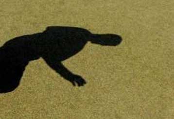 Για το δύο στα δύο Παναθηναϊκός και Ολυμπιακός