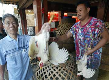 Φόβοι για μετάδοση της γρίπης των πτηνών από άνθρωπο σε άνθρωπο