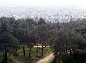 Με οικοπεδοποίηση απειλείται το Σέιχ-Σου μετά από άρση αναδάσωσης