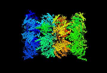 Στην έρευνα για την αποδόμηση των πρωτεϊνών το φετινό Νόμπελ Χημείας