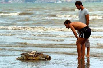 Με κυρώσεις απειλείται η Ελλάδα λόγω της αδράνειας για την καρέτα-καρέτα
