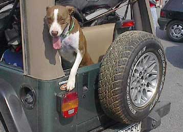 «Δακτύλιος» στο κέντρο της Αθήνας για τα τζιπ μεγάλου κυβισμού