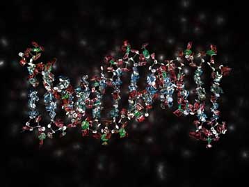 Λιγότερα από ό,τι νομίζαμε τα ανθρώπινα γονίδια, δείχνει η νέα καταμέτρηση
