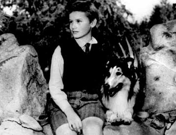 Η επιστροφή της Λάσι στη μεγάλη οθόνη