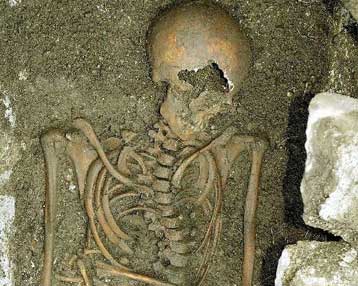 Γενετικές εξετάσεις στα οστά των συγγενών του Μότσαρτ