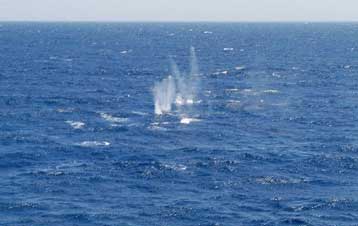 Συνεχίστηκε η παράνομη δραστηριότητα της τουρκικής Πολεμικής Αεροπορίας στο Αιγαίο