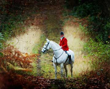 Την απαγόρευση του κυνηγιού της αλεπούς αποφάσισε το βρετανικό Κοινοβούλιο