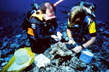 Νέα ευρήματα επιβεβαιώνουν τις πληροφορίες για το αρχαίο Ηράκλειο στην Αλεξάνδρεια