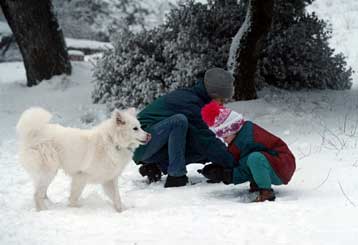 Τσουχτερό κρύο σε όλη τη χώρα –  Υπό του μηδενός η θεμοκρασία στη Βόρεια Ελλάδα