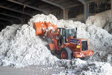 Με 707 εκατ. ευρώ θα επιδοτήσει η ΕΕ τη φετινή παραγωγή βάμβακος στην Ελλάδα