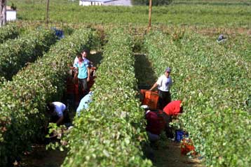 Ανάκαμψη της αξίας των ελληνικών εξαγωγών σε δολάρια