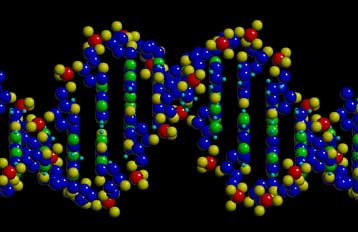 Γενετικοί αλγόριθμοι αναδημιουργούν το DNA προϊστορικού θηλαστικού