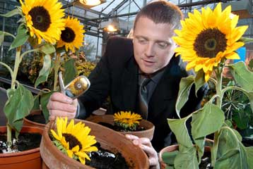 Κινητό τηλέφωνο μετατρέπεται σε άνθος όταν πεθάνει