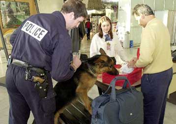 «Απολύονται» οι σκύλοι-ντεντέκτιβ στα γαλλικά αεροδρόμια μετά την εξαφάνιση εκρηκτικών