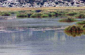 Καρκινογόνες ουσίες στο νερό πολλών αγροτικών περιοχών της Ελλάδας