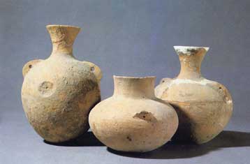 Ίχνη κρασιού ανακαλύφθηκαν σε κινεζικά αγγεία 9.000 ετών