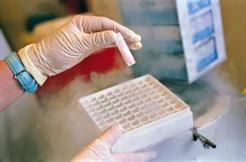 Tρία δισ. δολάρια επενδύει η Καλιφόρνια στη μελέτη των βλαστικών κυττάρων